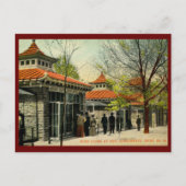 Vogelkooien in dierentuin, Cincinnati, OH  Briefkaart (Voorkant)