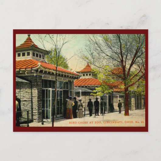 Vogelkooien in dierentuin, Cincinnati, OH  Briefkaart (Voorkant)
