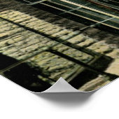 Vogelkooien in dierentuin, Cincinnati, OH  Poster (Hoek)