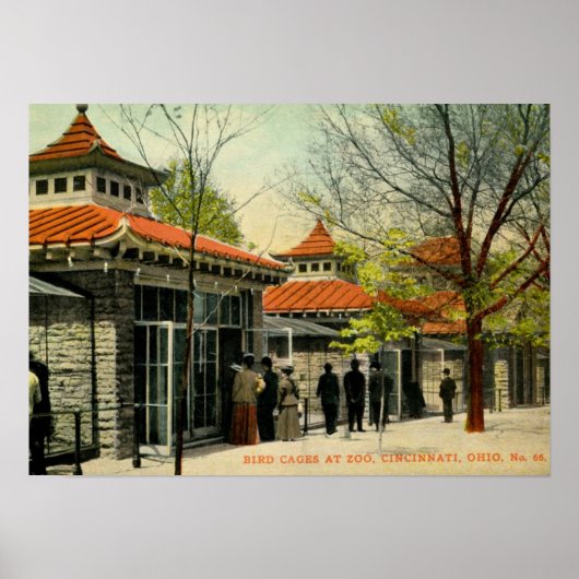 Vogelkooien in dierentuin, Cincinnati, OH  Poster (Voorkant)