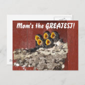 Vogelkoor zingt vrolijke Moederdag voor mama Briefkaart (Voorkant / Achterkant)