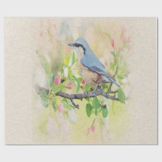 Vogelkoorts Cadeaupapier (Vlak)