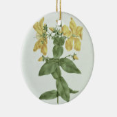 Vogelkoorts (Hypericum quartinianum) (m/c boven de Keramisch Ornament (Rechts)