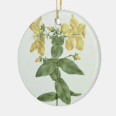 Vogelkoorts (Hypericum quartinianum) (m/c boven de Keramisch Ornament (Links)