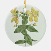 Vogelkoorts (Hypericum quartinianum) (m/c boven de Keramisch Ornament (Achterkant)