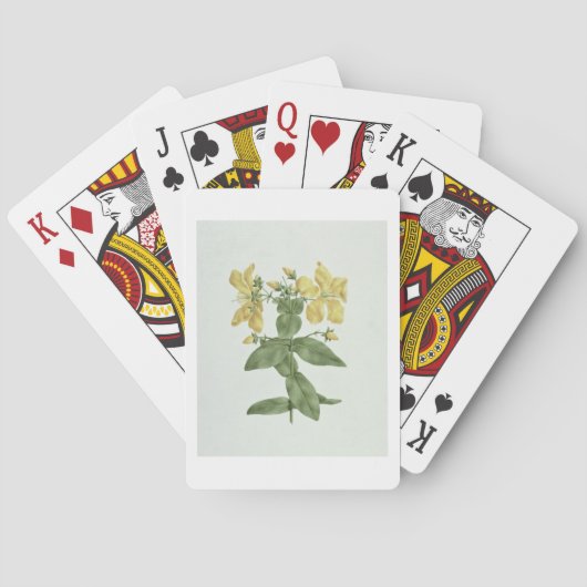 Vogelkoorts (Hypericum quartinianum) (m/c boven de Pokerkaarten (Achterkant)