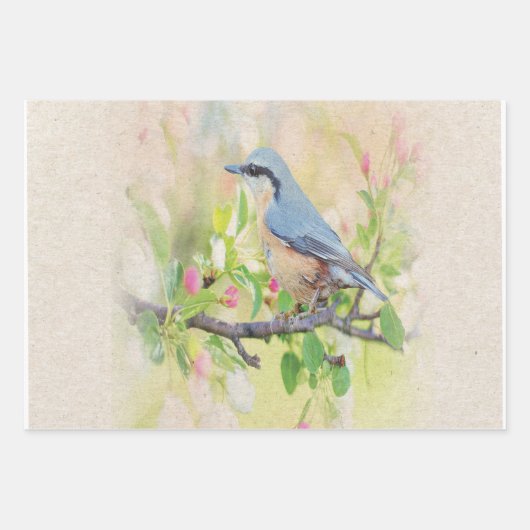 Vogelkoorts Inpakpapier Vel (Voorkant 3)