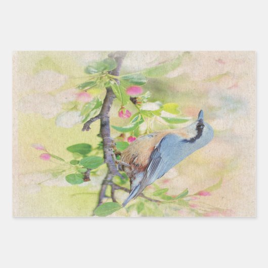 Vogelkoorts Inpakpapier Vel (Voorkant)