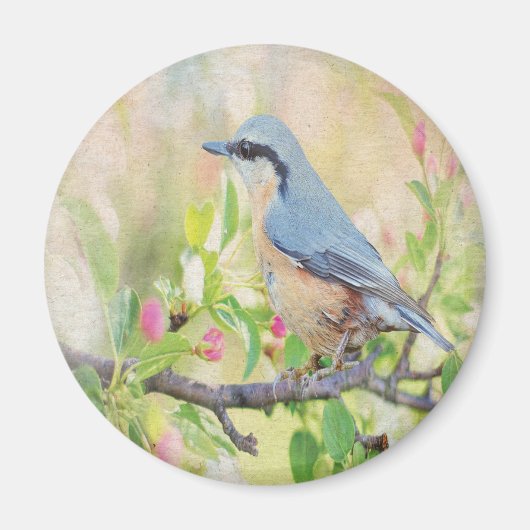 Vogelkoorts Magneet (Voorkant)