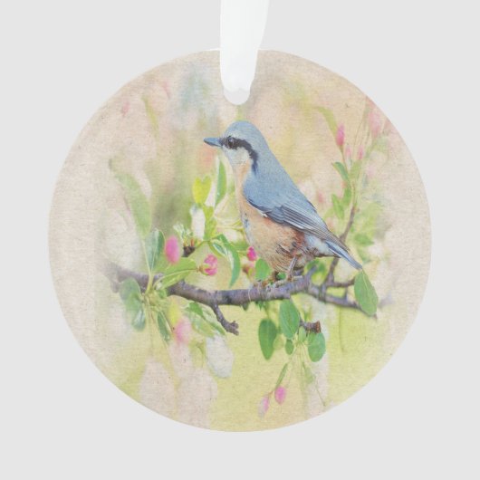 Vogelkoorts Ornament (voorkant)