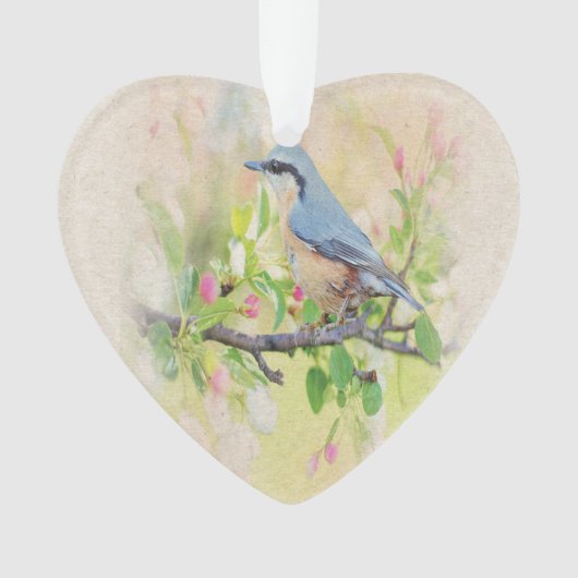 Vogelkoorts Ornament (voorkant)