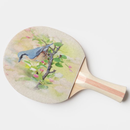 Vogelkoorts Tafeltennisbatje (Zijkant)