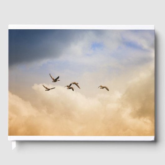 Vogelkoppel tijdens de vlucht gastenboek (Voorkant)