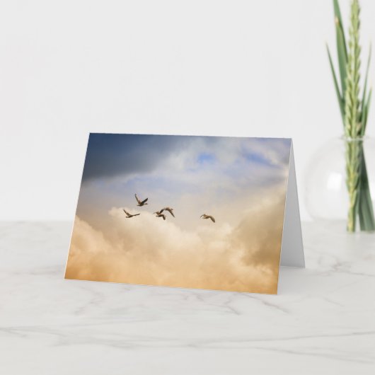 Vogelkoppel tijdens de vlucht kaart (Voorkant)