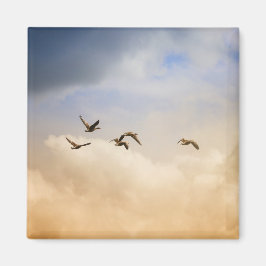 Vogelkoppel tijdens de vlucht magneet