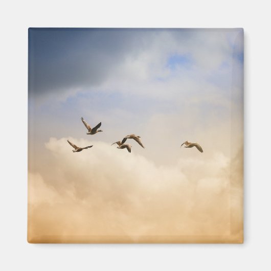 Vogelkoppel tijdens de vlucht magneet (Voorkant)