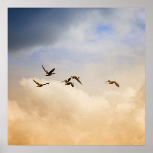 Vogelkoppel tijdens de vlucht poster (Voorkant)