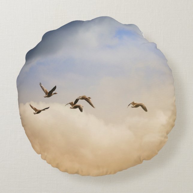 Vogelkoppel tijdens de vlucht rond kussen (Achterkant)