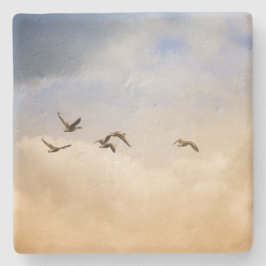 Vogelkoppel tijdens de vlucht stenen onderzetter