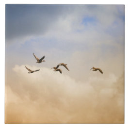 Vogelkoppel tijdens de vlucht tegeltje