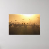 Vogelkudde van Cranes bij het Agamon HaHula, Israë Canvas Afdruk (Voorkant)