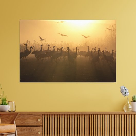 Vogelkudde van Cranes bij het Agamon HaHula, Israë Canvas Afdruk (Insitu (Woonkamer))