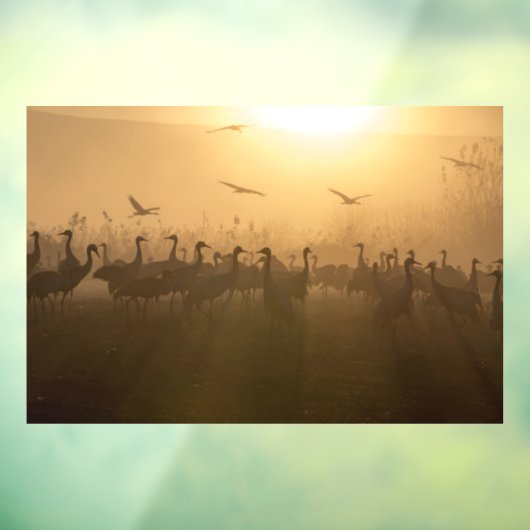 Vogelkudde van Cranes bij het Agamon HaHula, Israë Raamsticker (Vel 3)