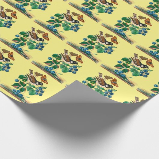 vogelkunst cadeaupapier (Hoek)