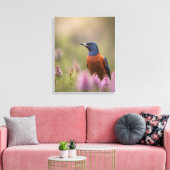 Vogelkunst foto canvas afdruk (Insitu (Woonkamer))