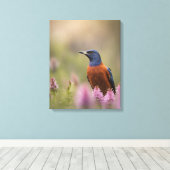 Vogelkunst foto canvas afdruk (Insitu (Houten vloer))