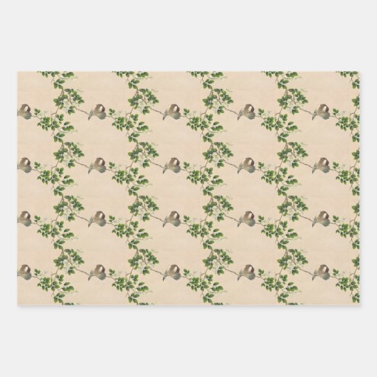  vogelkunst inpakpapier vel (Voorkant 2)