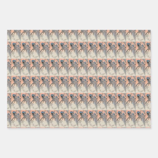  vogelkunst oranje inpakpapier vel (Voorkant 2)