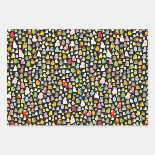 Vogellakken (zwart) inpakpapier vel (Voorkant)