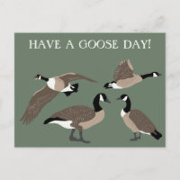 Vogellampjes Canada Geese Illustratie Aangepast