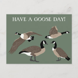 Vogellampjes Canada Geese Illustratie Aangepast Briefkaart