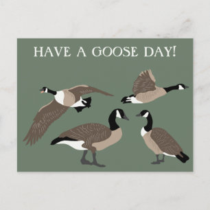 Vogellampjes Canada Geese Illustratie Aangepast Briefkaart