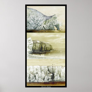 Vogelleven Poster ~ Cliff Habitat