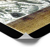 Vogelleven Poster ~ Cliff Habitat (Hoek)