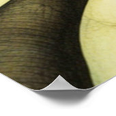Vogelliefde 1 poster (Hoek)