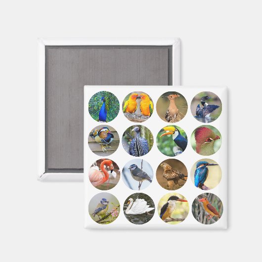 Vogelliefhebber Koelkast Magnet (Voorkant / Achterkant)