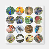 Vogelliefhebber Koelkast Magnet (Voorkant)