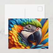 Vogelliefhebber Macaw Parrot Briefkaart (Voorkant / Achterkant)