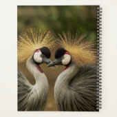 Vogelliefhebber Patroon Niet gedateerd Persoonlijk Planner (Achterkant)