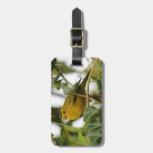 Vogelliefhebbers gepersonaliseerd bagagelabel (Voorkant verticaal)