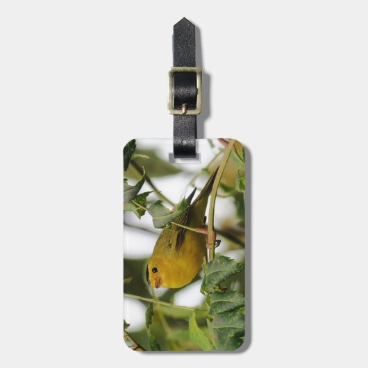 Vogelliefhebbers gepersonaliseerd bagagelabel (Voorkant verticaal)