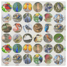 Vogelliefhebbers stof