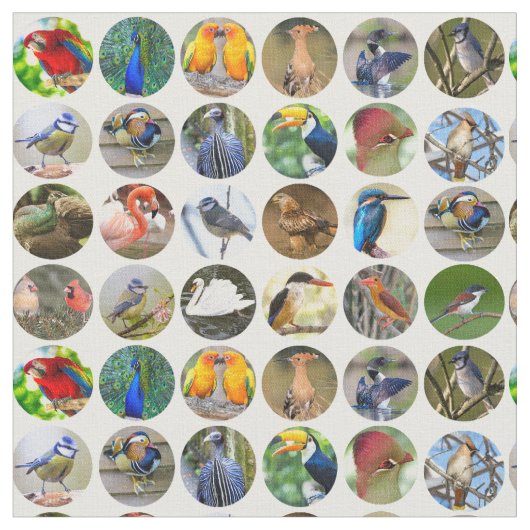 Vogelliefhebbers stof (Close Up)