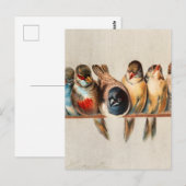 Vogellijn en duif briefkaart (Voorkant / Achterkant)