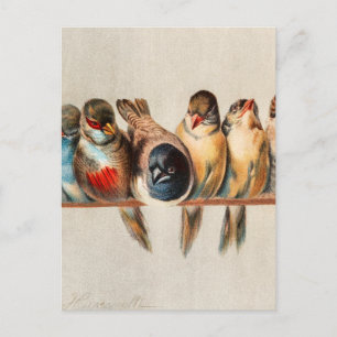 Vogellijn en duif briefkaart