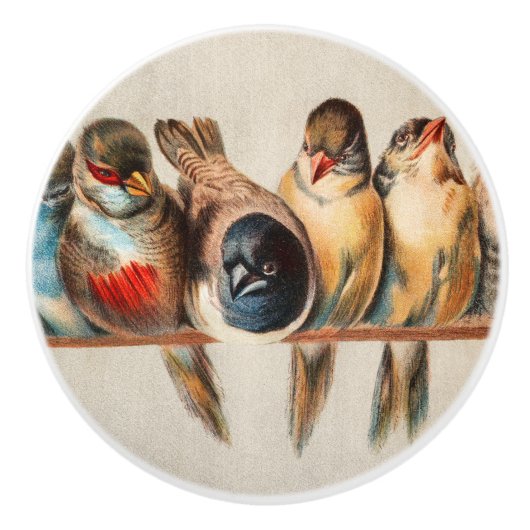 Vogellijn en duif keramische knop (Voorkant)